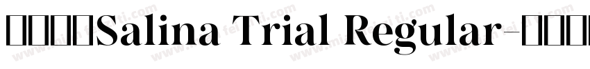 字体名称Salina Trial Regular字体转换